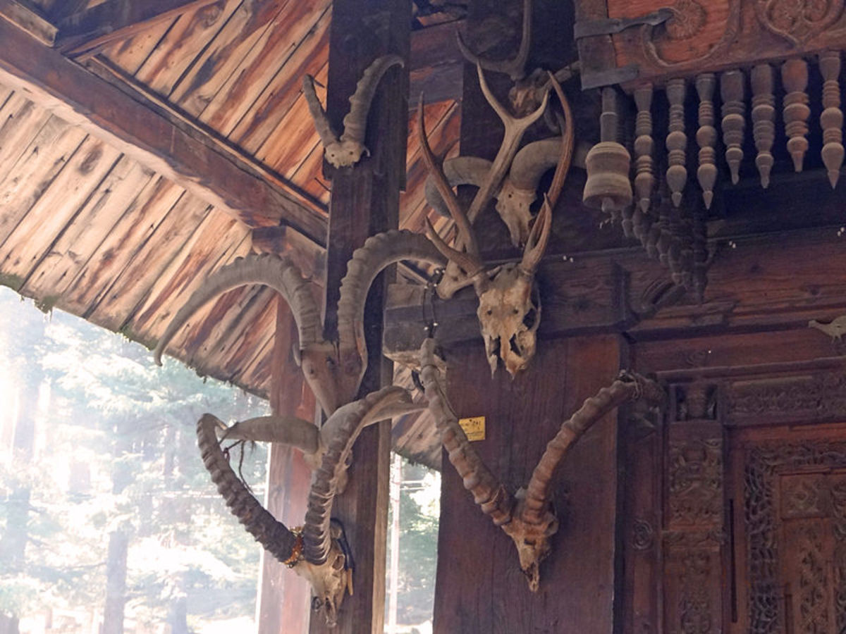 A wall of the Hidimba Devi Temple with hanging skulls of sacrificed buffaloes.
