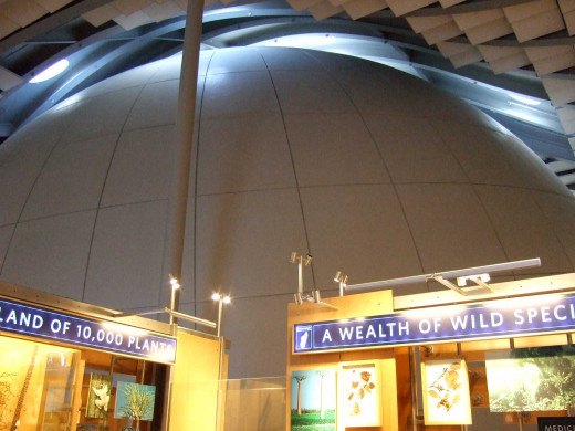 Morrison Planetarium's dome, one of the largest digital projector Planetariums in the nation.