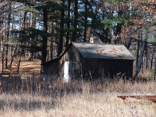 Aldo Leopold wrote frequently about the happy times spent with his family in the "Shack" near Baraboo, WI.