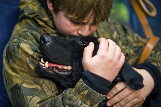 Some dogs thrive on a kid's attention, while others are an accident waiting to happen.