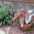 Fern with Caladiums; I added an odd root for garden structure Fern with Caladiums; I added an odd root for garden structure