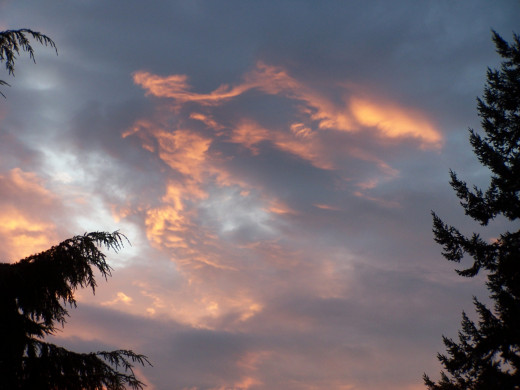 Do you have your head in the clouds, constantly bombarded with ideas and inspiration?