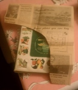 The Reysh-shaped Newspaper Clipping