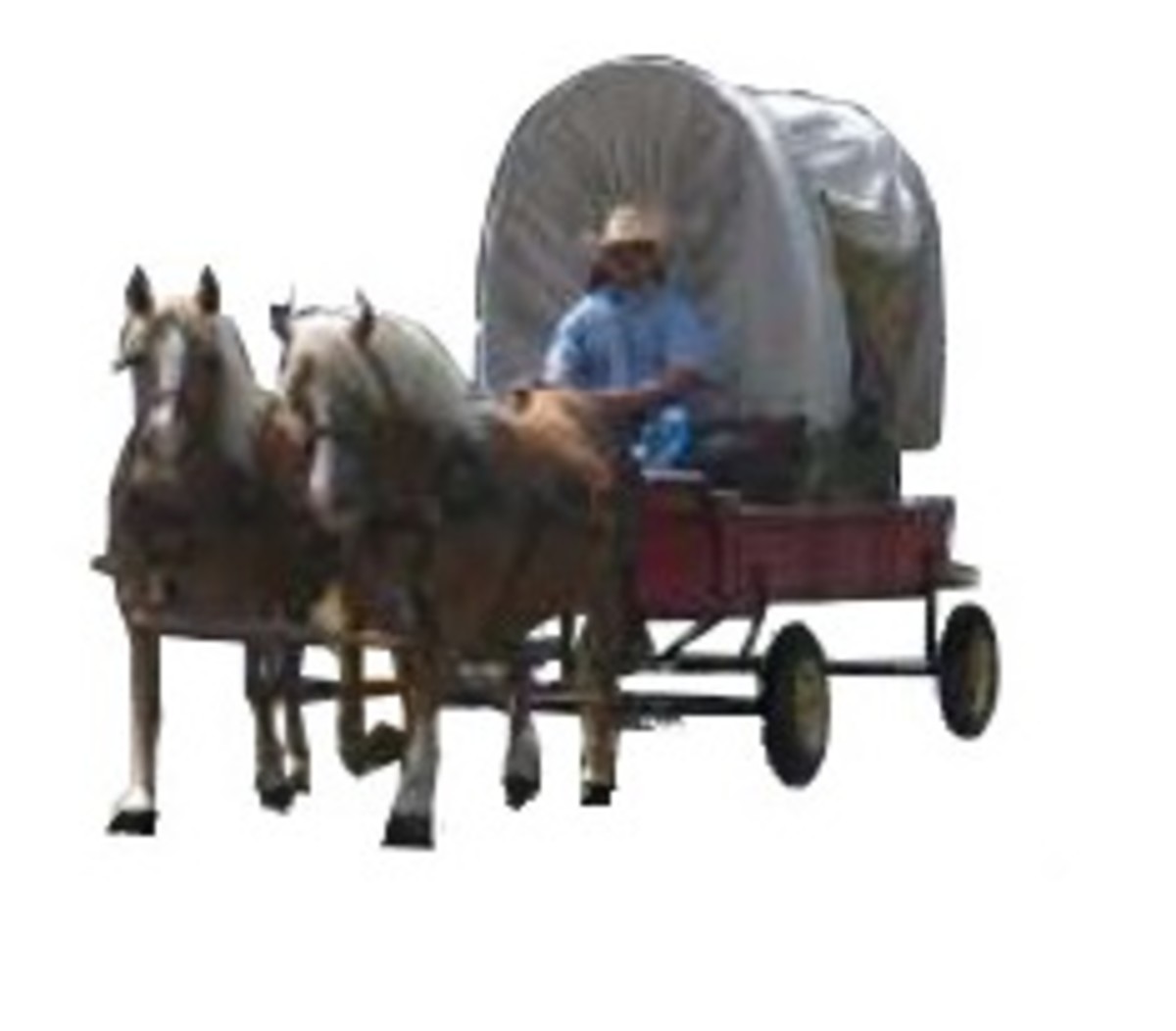 Pony/Horse Cart Basics