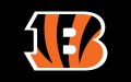 2014 NFL Season Preview- Cincinnati Bengals