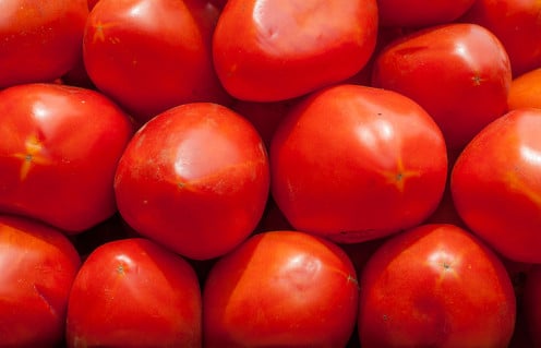 Plum tomatoes to be washed and cleaned and ready for to make spaghetti sauce for the up and coming canning season.