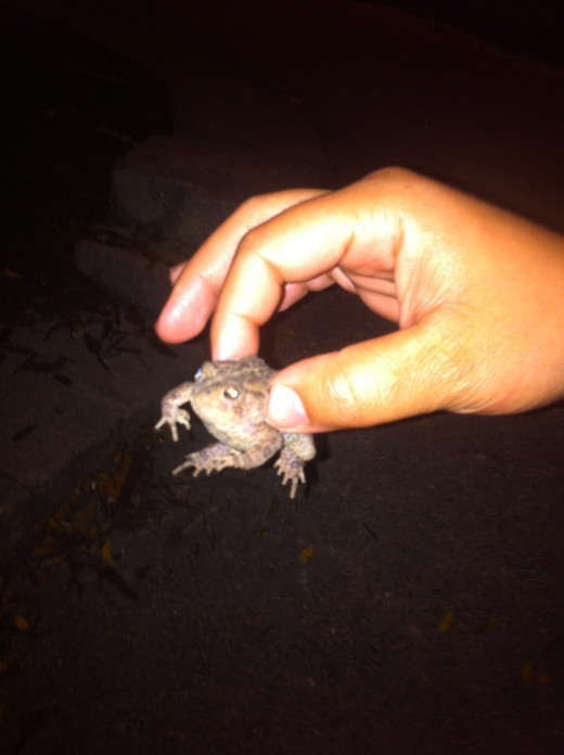 I thought I had found my prince, but I was too scared to kiss him!
