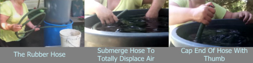 Completely submerge the rubber hose in the rainwater until all the air in the hose has been displaced by water and then cap the exposed end of the hose with your thumb.