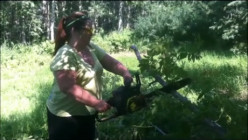Pruning Trees and Clearing Brush