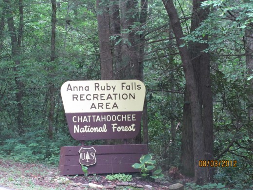 Close to Anna Ruby Falls - an EASY hike!