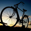 Bikegurl profile image