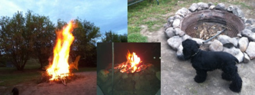 There are many uses for the wood found on the treed acreage.