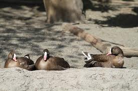 Feeling Lonely, Unloved?  Don't Call Your Ex. He May Be With Someone Else!