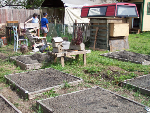 Get rid of your lawn and grow food