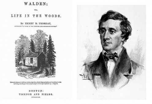 economy essay henry david thoreau economy essay henry david thoreau
