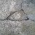 Broken chunks like this will be easy to reuse as a foundation for a fire pit. Broken chunks like this will be easy to reuse as a foundation for a fire pit.