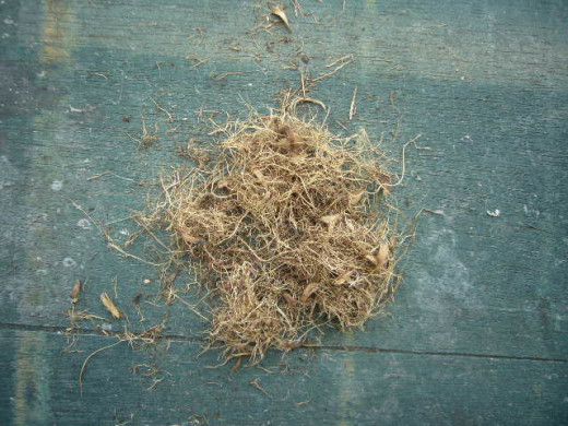 Fibre is one of the composting material