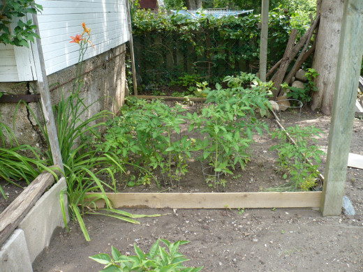 A raised bed Vegetable garden is a great fall project.