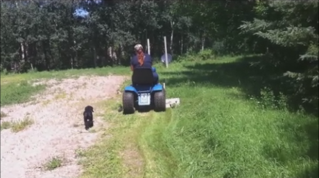 Mowing can pose many challenges, but a good mowing job when complete is very rewarding. Mow safely though to reduce the chance of injury.