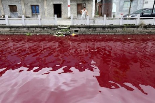 Waters turned to blood?