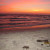Sunset at Cape San Blas - St. Joseph Peninsula State Park, Florida