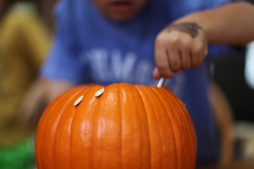 When choosing a pumpkin for carving, you want to take into consideration the shape and composition of your pumpkin to make it easy to hollow out.