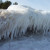 The dunes in winter.