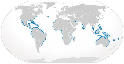 Distribution of the bull shark population.