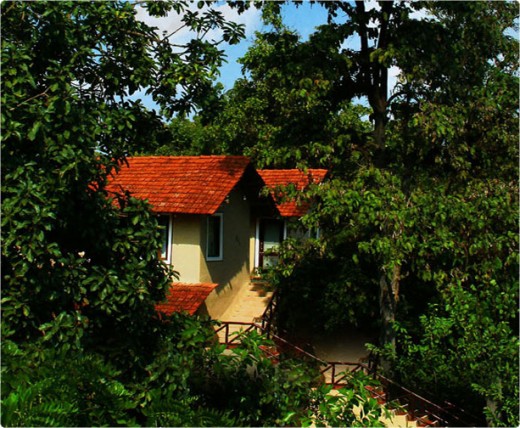 Photo Jungle Lodge