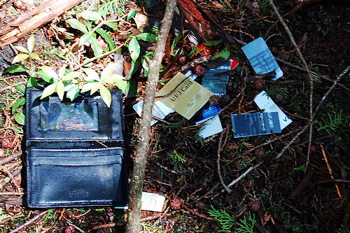 A wallet that has been rummaged through in the forest. 