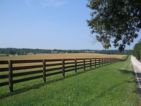 Can you be safe behind a fence like this? It might be more beautiful to look at, and to look through, but make sure that you are safe. 