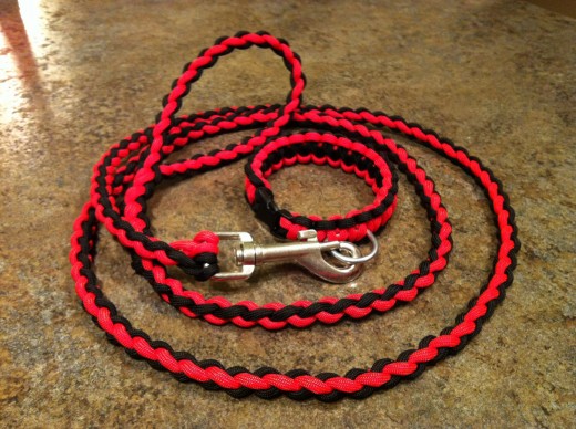 Paracord leash