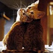 workathome-jobs profile image