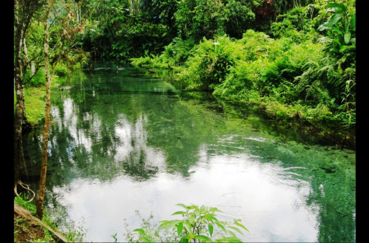 Pristine Water Source in Kimbe, West New Britain Province, Papua New Guinea