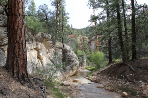 Top of the Narrows