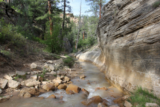 Top of the Narrows