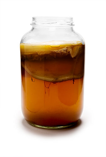 Kombucha tea fermenting.