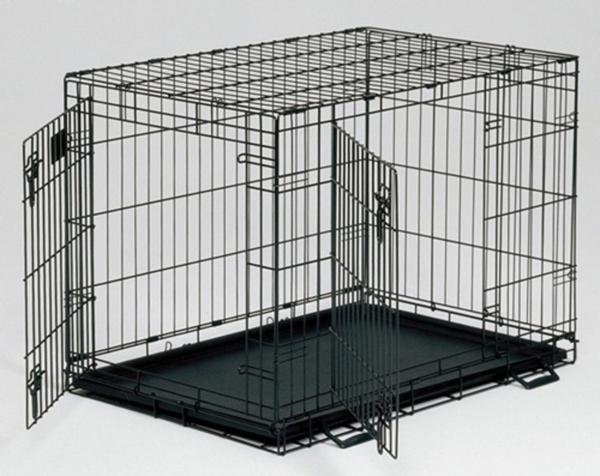 Finding the Appropriate Indoor or Outdoor Cage for Your Cat (Photographic Guide)