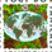 yogibotanicals profile image