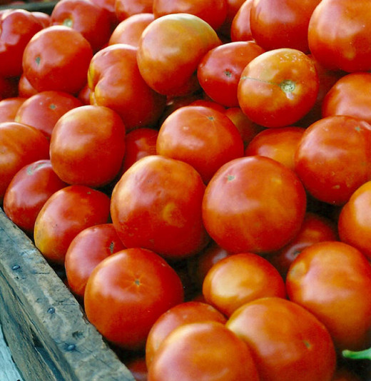 Don't know any tomato fields you can pick?  The Farmer's Market is a good place to shop for fresh fruit.