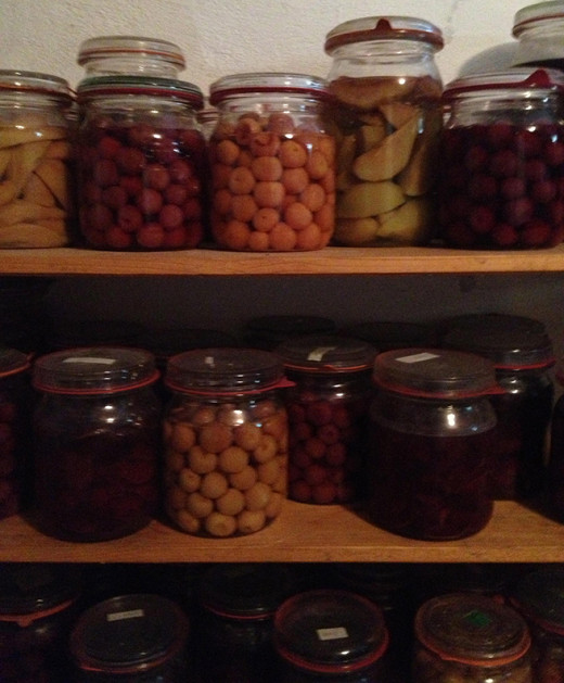 Canning jars of all kinds and sizes.