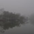Foggy morning over the lagoon