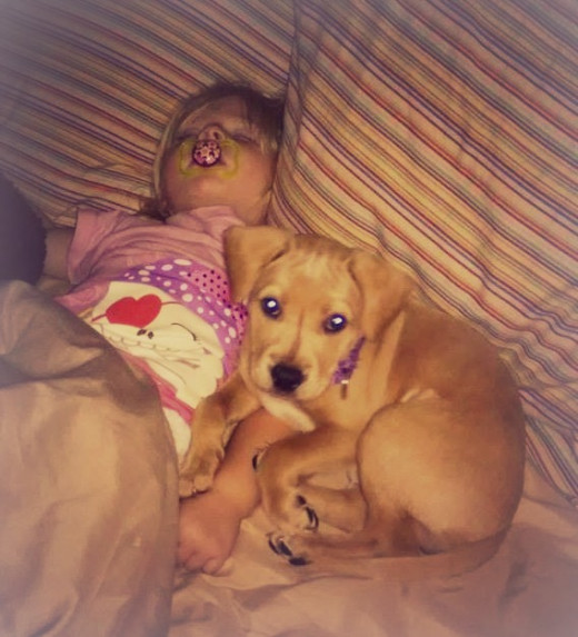 Tinker cuddled up on the bed next to her youngest buddy.