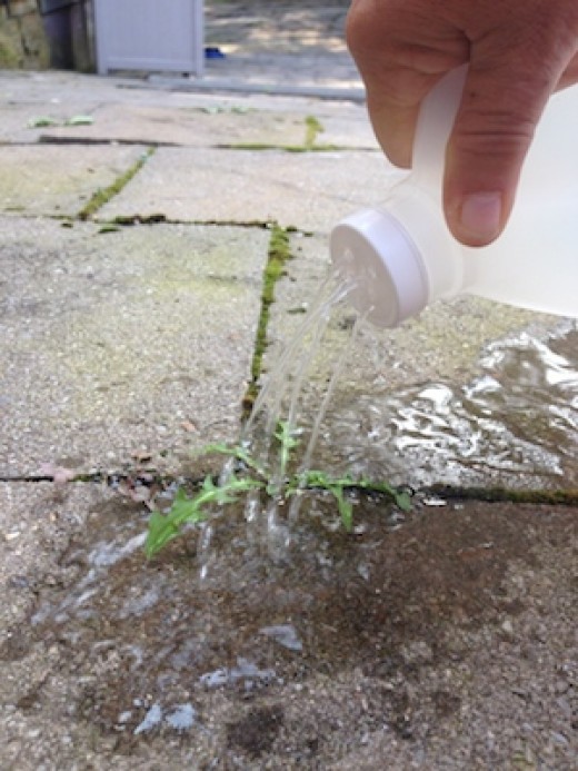 Will vinegar and water kill weeds?