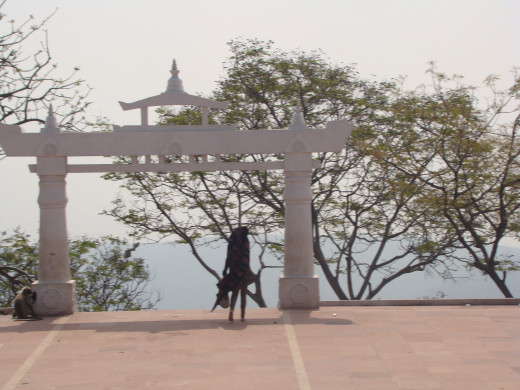 Overlooking The Shanti Stupa Area