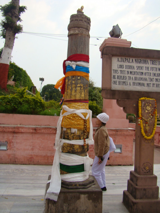 Site Of The Ajapala Tree, Mahabodhi Temple, Bodh Gaya