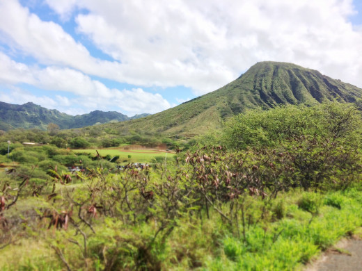 Beautiful Koko Head Crater