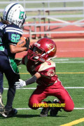 The Dangers of Pop Warner Football: How To Detect A Concussion