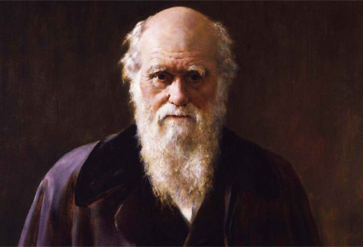 Charles Darwin (19th Century) an English naturalist who propounded his theory of evolution according to which species of animals are products of a process of natural selection.