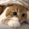 PreciousArtist profile image